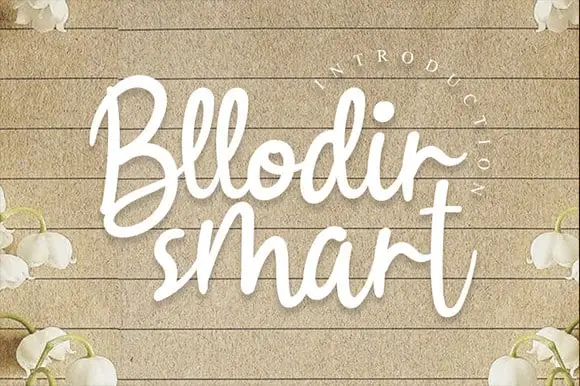 Bllodir Smart Script Font