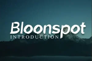 Bloonspot Displays Font