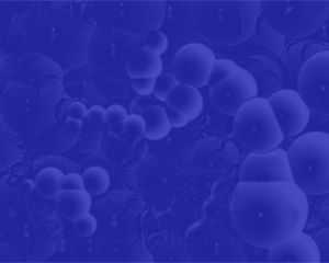 Blue Cells Power Point Template
