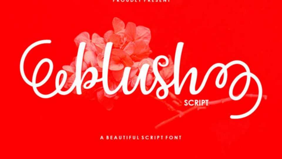 Blush Script Font › Fontesk