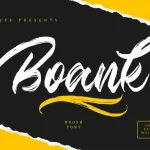 Boank Brush Font