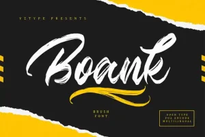 Boank Brush Font