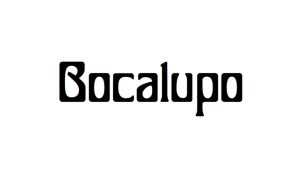 Bocalupo Font › Fontesk
