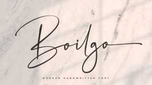 Boilgo Script Font › Fontesk