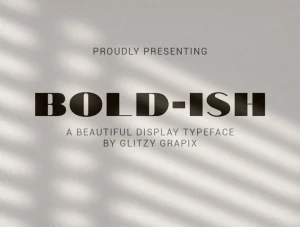 Bold-ish Font
