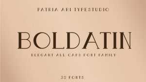 Boldatin Font › Fontesk