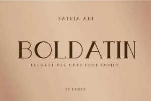 Boldatin Serif Font