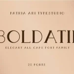 Boldatin Slab Display Font Family