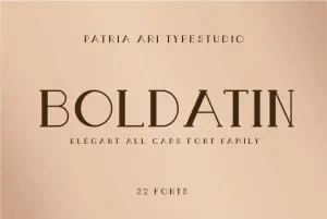 Boldatin Slab Display Font Family