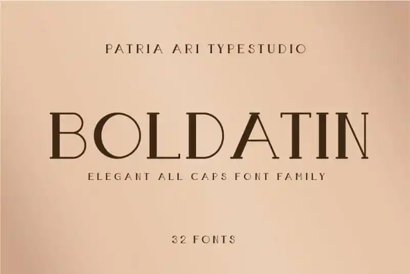 Boldatin Slab Display Font Family