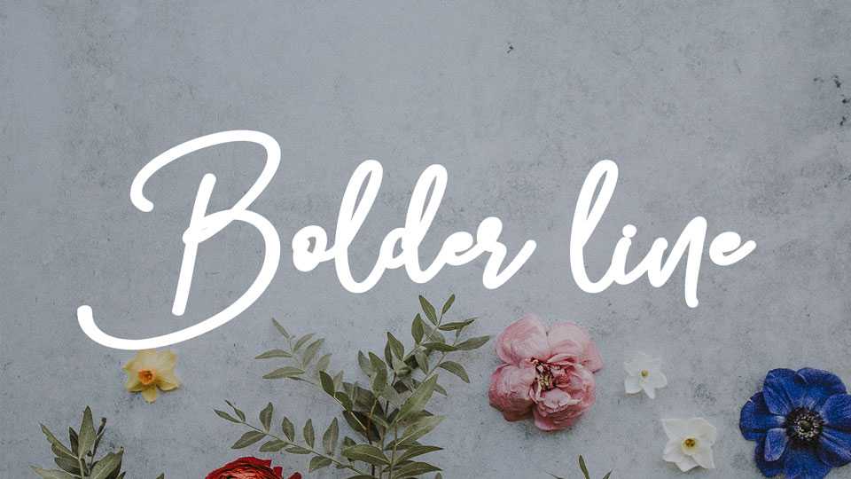 Bolder Line Script Font › Fontesk