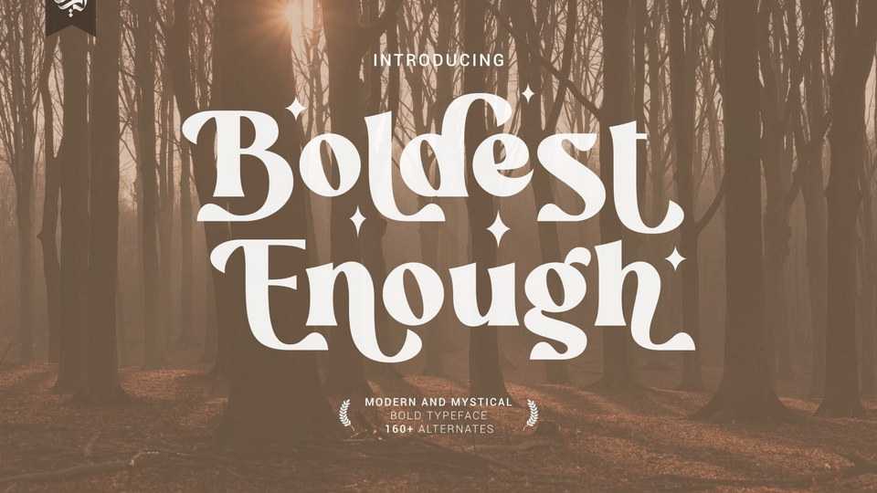 Boldest Enough Font › Fontesk