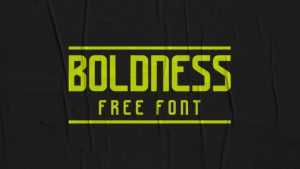 Boldness Font › Fontesk