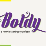 Boldy Font