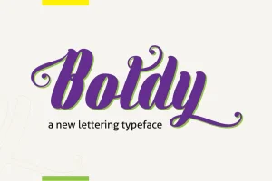 Boldy Font