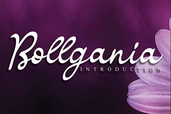 Bollgania Script Font