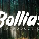 Bollias Brush Font