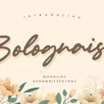 Bolognaise Monoline Handwritten Font