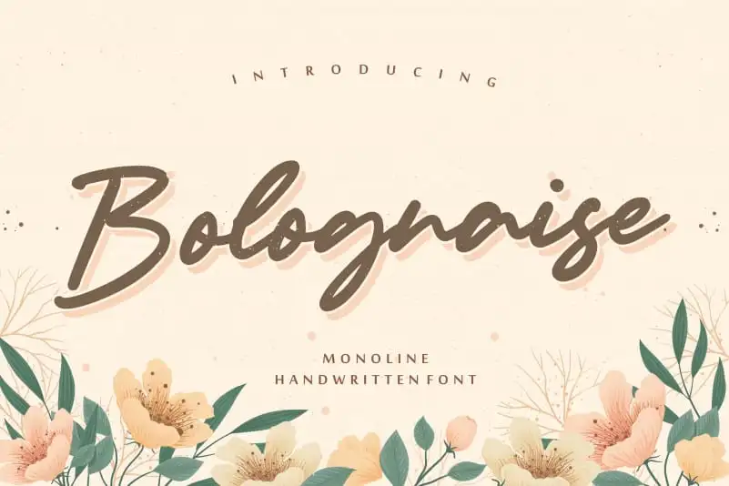 Bolognaise Monoline Handwritten Font