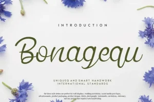 Bonagequ Script Font