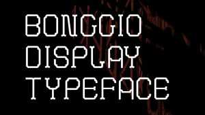 Bong Gio Display Font › Fontesk