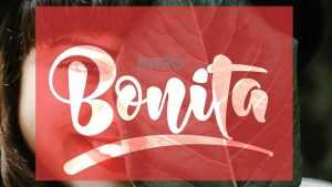 Bonita Script Font › Fontesk