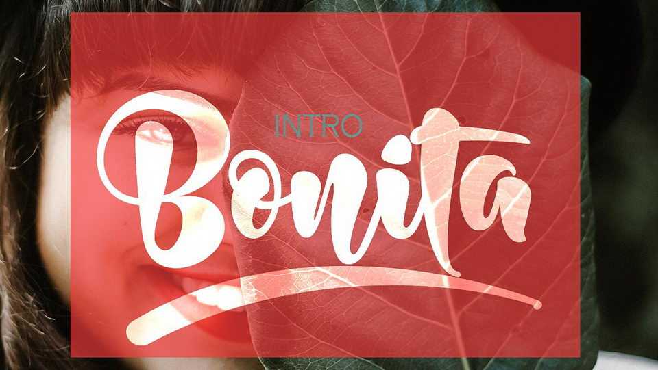 Bonita Script Font › Fontesk