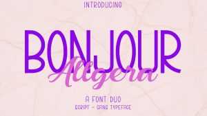 Bonjour Allgera Script Font › Fontesk
