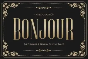 Bonjour Display Font