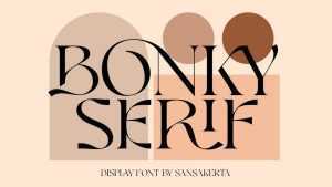 Bonky Serif Font › Fontesk
