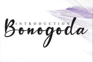 Bonogoda Brush Font