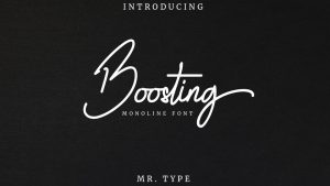 Boosting Font › Fontesk