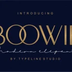 Boowie Sans Serif Font - Fonte Grátis Boowie Sans Serif Font