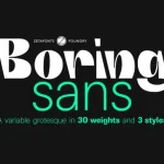 Boring Sans Font Family