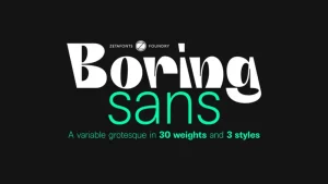 Boring Sans Font Family