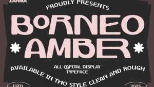 Borneo Amber Font › Fontesk