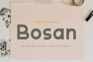 Bosan Sans Serif Font