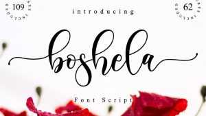 Boshela Script Font › Fontesk