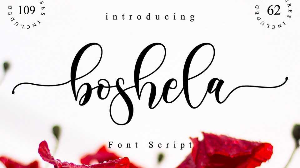 Boshela Script Font › Fontesk
