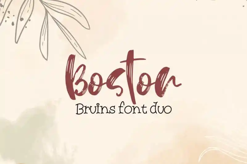 Boston Bruins font duo