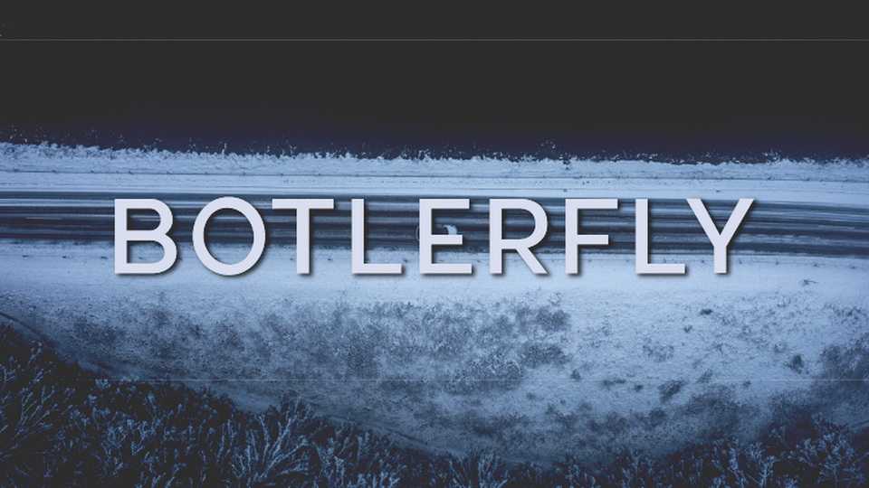 Botlerfly Font › Fontesk