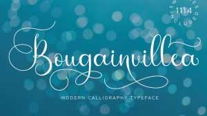 Bougainvillea Font › Fontesk
