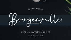 Bougenville Font › Fontesk