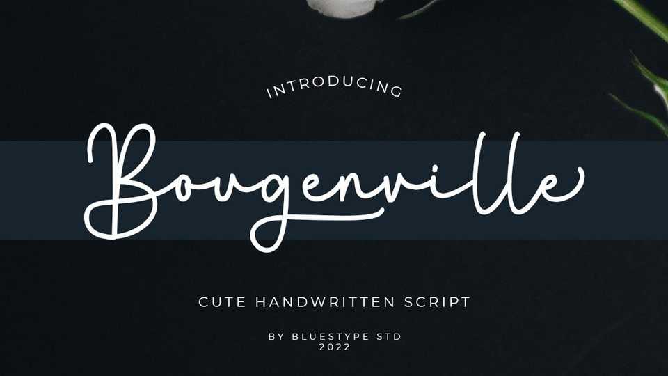 Bougenville Font › Fontesk