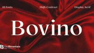 Bovino Font Family › Fontesk