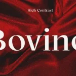 Bovino Trial Serif Font Family