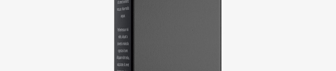 Box mockup / 50x200x30 mm / white - metallic - kraft