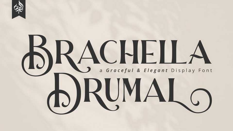 Brachella Drumal Font › Fontesk