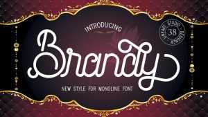 Brandy Script Font › Fontesk