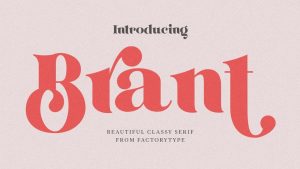 Brant Serif Font › Fontesk